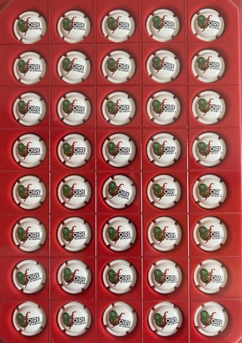 Capsules champagne - 40,
